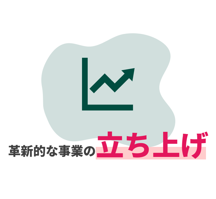 革新的な事業の立ち上げ