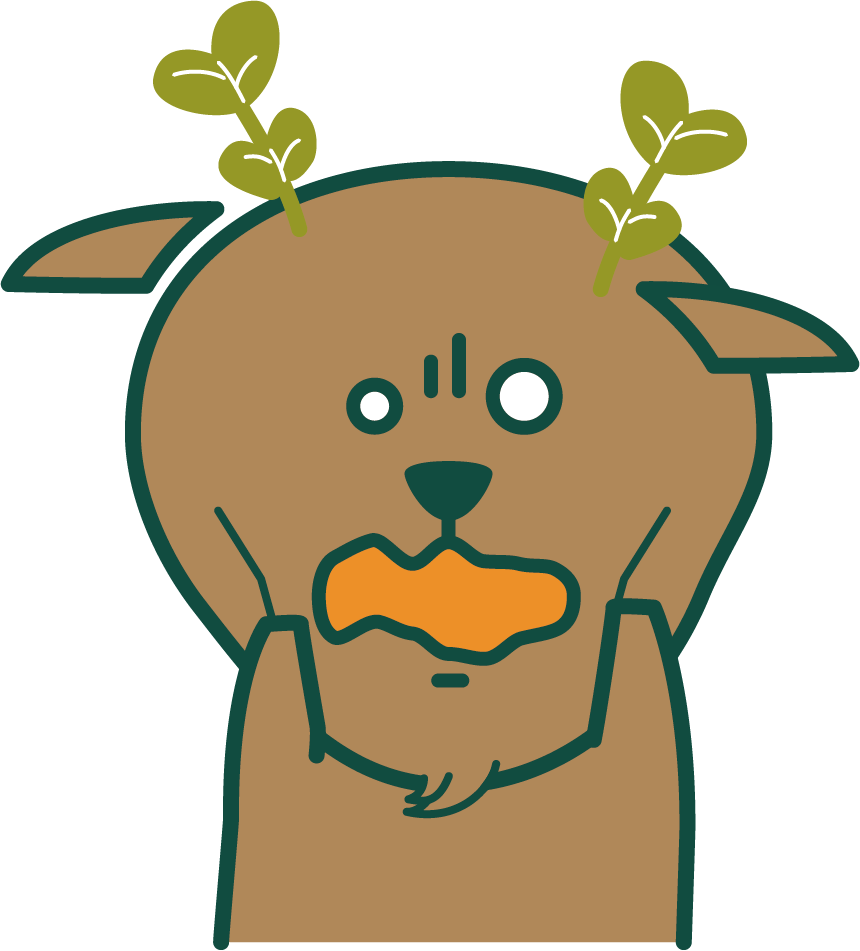 キャラ画像